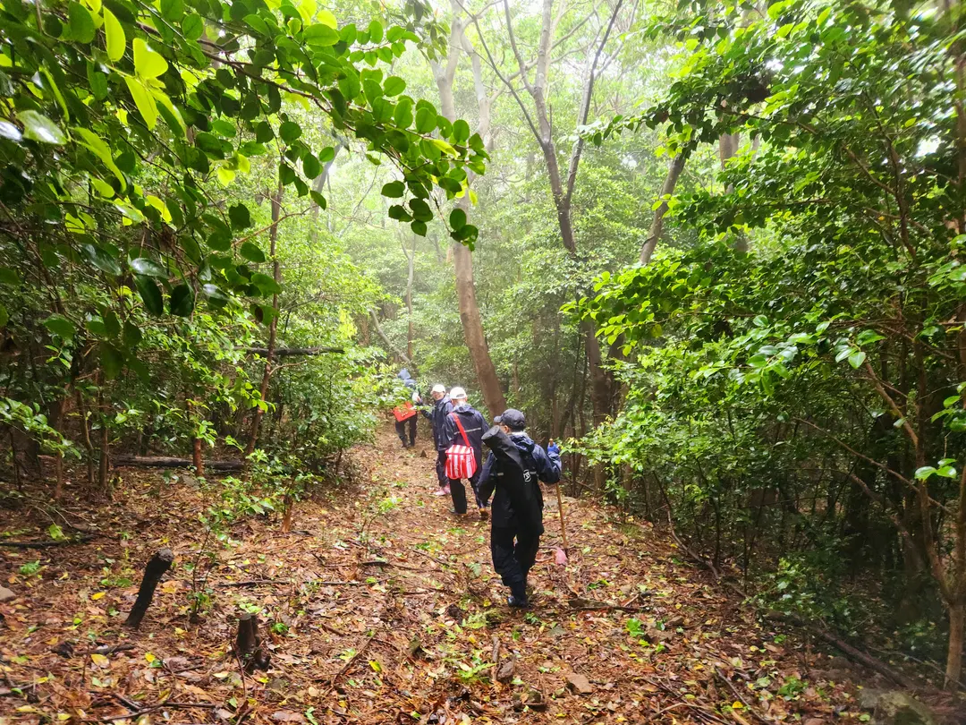 아쉬운 하산길